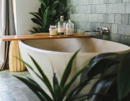 Badewanne mit Pflanzen
