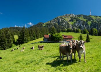 Mit Kindern im ALlgäu