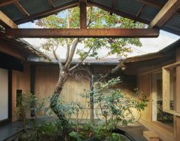 Baum,. der in einem Atrium eines Gebäudes wächst