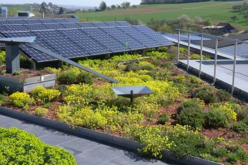 extensive dachbegrünung mit solar