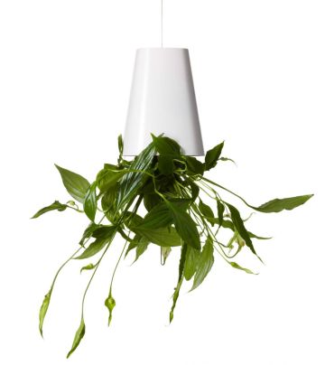 Sky Planter - Pflanzen kopfüber