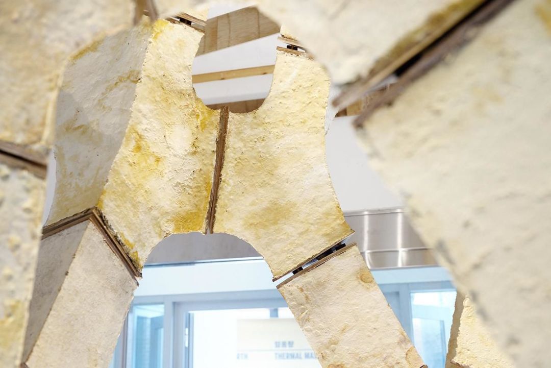 Myco Tree Baustoff Nahaufnahme