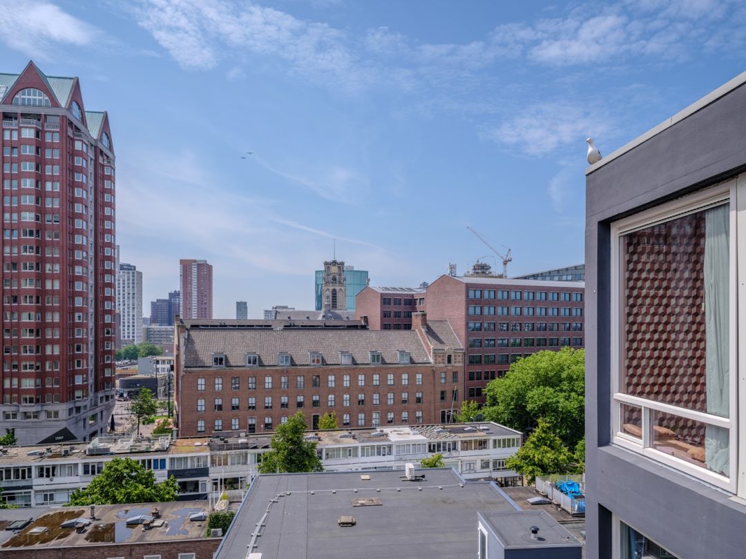 Blick aus der Cabanon in Rotterdam