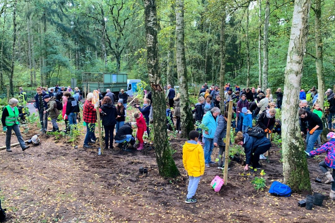 Tiny Forest Projekt in Bönningstedt