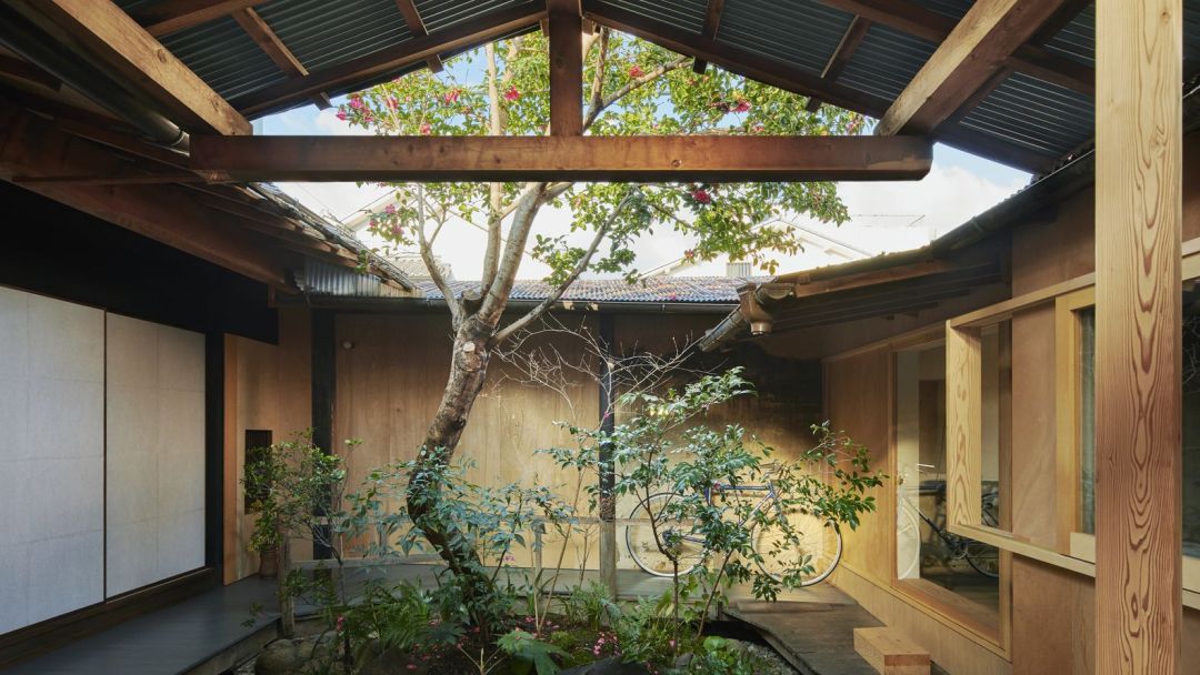 Baum,. der in einem Atrium eines Gebäudes wächst