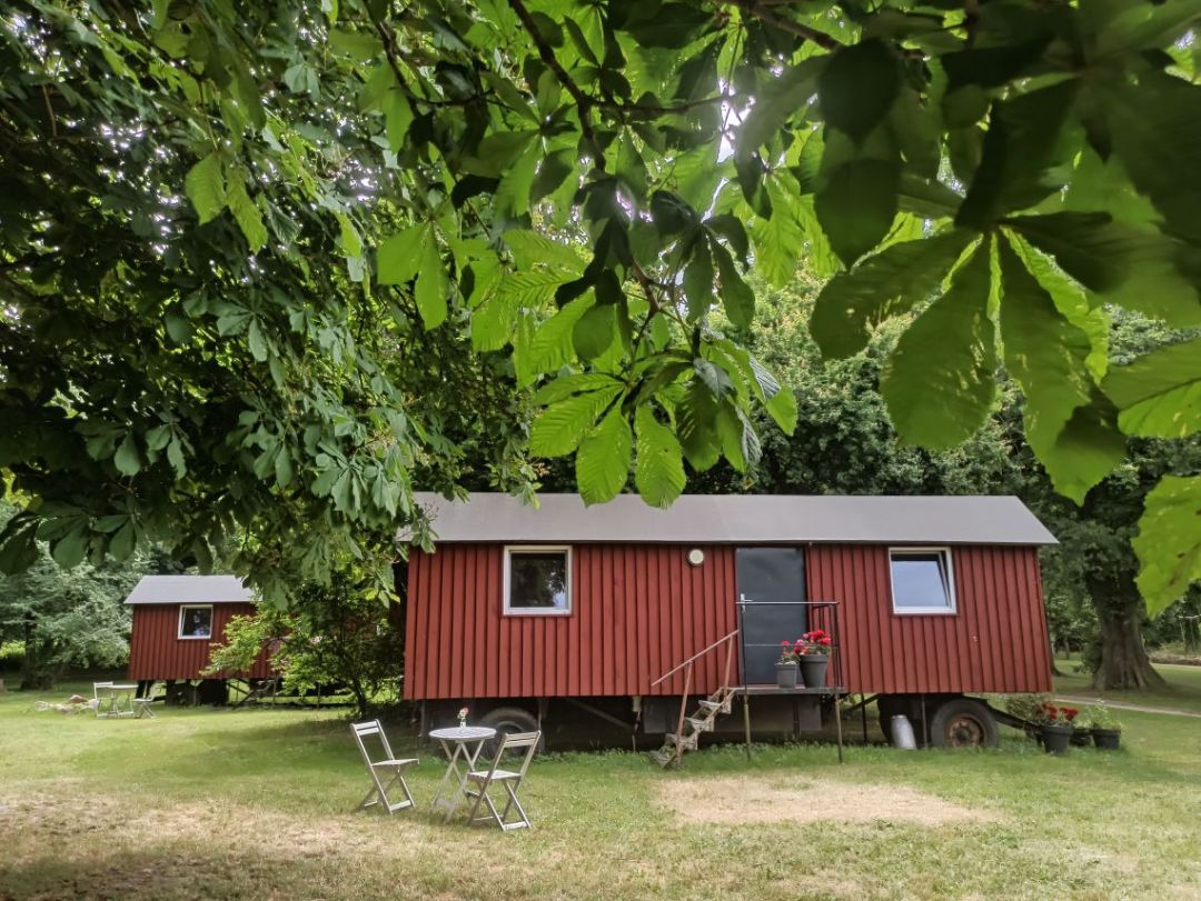 Glampingurlaub an der Ostsee auf Rügen: Schäferwagen auf Biogut Saalkow