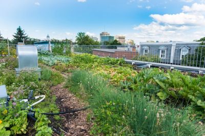 Die intensive Dachbegrünung bietet die Möglichkeit, die Grünfläche wie einen Garten anzulegen und zu nutzen