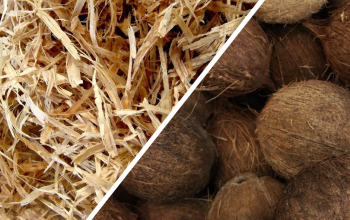 Nachhaltige Wärmedämmung mit Naturdämmstoffen