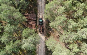 Forwarder im Einsatz bei der Holzernte im Wald