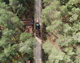 Forwarder im Einsatz bei der Holzernte im Wald