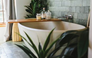Badewanne mit Pflanzen
