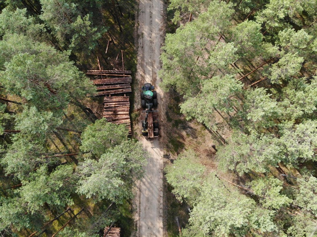 Forwarder im Einsatz bei der Holzernte im Wald