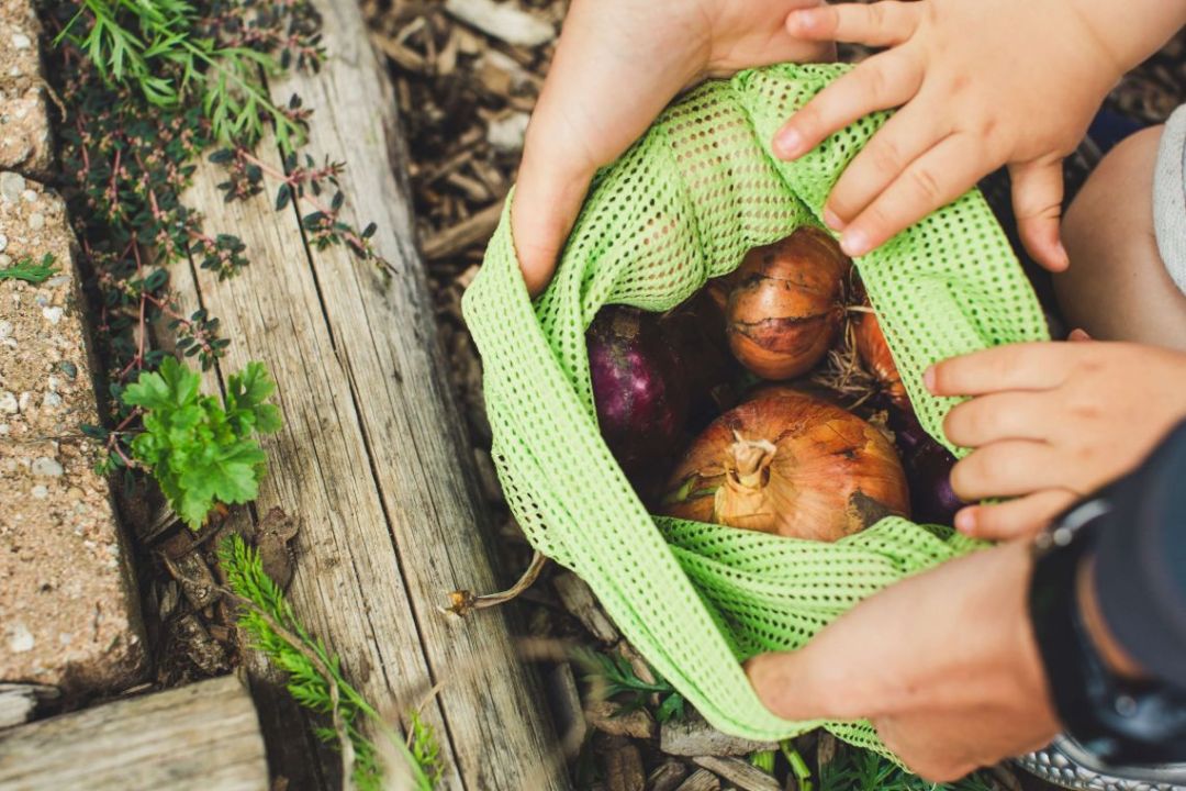 Mit einem Obst- und Gemüsenetz kann man Einmaltüten vermeiden. Im unverpackt Laden kann man oft noch Netze oder Beutel kaufen.