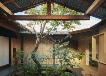 Baum,. der in einem Atrium eines Gebäudes wächst