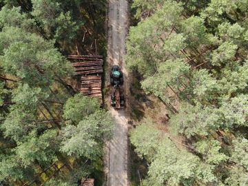 Forwarder im Einsatz bei der Holzernte im Wald