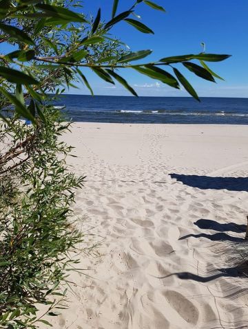Glamping an der Ostsee: Blick auf den Sandstrand
