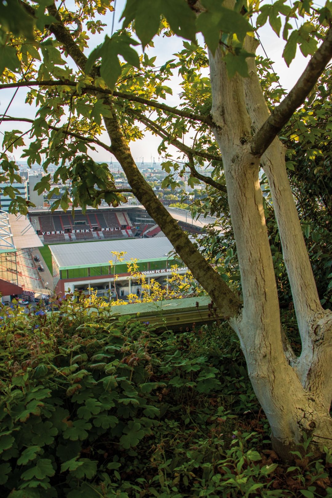 Blick aufs St.-Pauli-Stadion