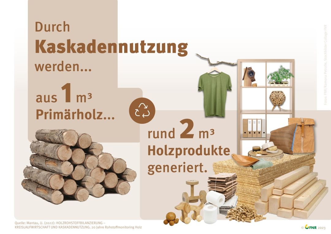 Grafik zur Kaskadennutzung von Holz: "Durch Kaskadennutzung werden aus 1 Kubikmeter Primärholz rund 2 Kubikmeter Holzprodukte generiert."