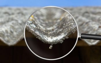 Asbest unter der Lupe