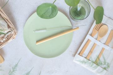 Bambus Besteck und Teller