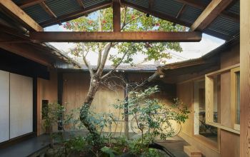 Baum,. der in einem Atrium eines Gebäudes wächst