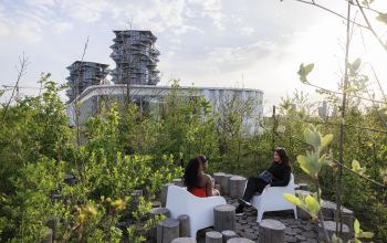 Frauen unterhalten sich auf einem Dachgarten