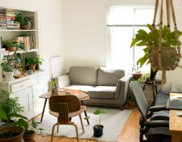 Grünes Zuhause: zu sehen ist ein Wohnzimmer in dezenten Farben. Graues Sofa, kleiner Holztisch, weißes Bücherregal, Schreibtisch und viele Zimmerpflanzen.