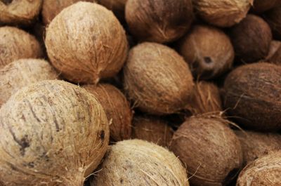 Kokosfasern gehören auch zu den nachhaltigen Naturdämmstoffen